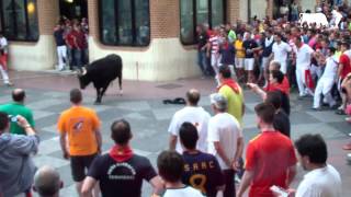 quotArmadorquot Torito del alba del viernes 2015 [upl. by Cramer]