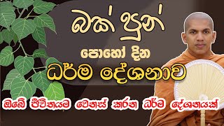 ඔබේ ජීවිතයම වෙනස් කරන ධර්ම දේශනාවක්  VenKirulapana Dhammavijaya Thero බක් පොහොය බන  bak poya bana [upl. by Nnaeus401]