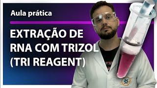 Extração de RNA com TRIzol TRI Reagente  aula prática [upl. by Attolrac]