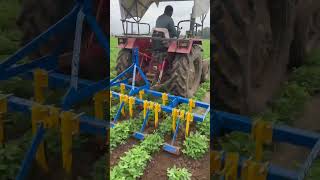 GROUNDNUT INTER CULTIVATION IN 18quot INCHES 6 RAW by EKTA ENGINEERING [upl. by Lorien]