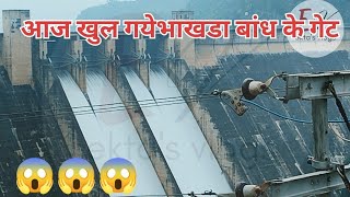 भाखड़ा बांध के गेट आज खुल गएbhakhra dam gate open bhakhra nangal [upl. by Wing]