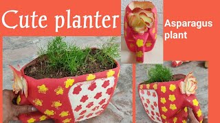 Cute planter and asparagus plant [upl. by Nibbs]