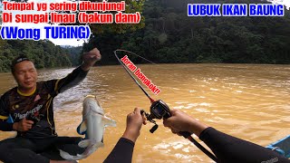 MEMANCING IKAN BAUNG di spot yang selalu dikunjungi di SUNGAI LINAU cabang SUNGAI RAJANGBAKUN DAM [upl. by Andromede]