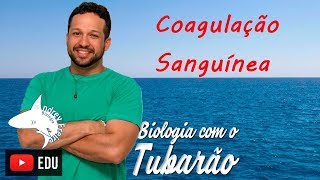 Coagulação sanguínea  Sangue  Biologia com o Tubarão [upl. by Madaih]