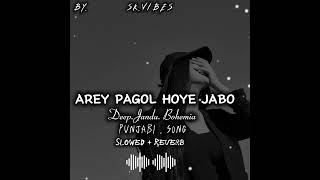 AREY PAGOL HOYE JABO AMI✌️❤️DEEPJANDUBOHEMIA✅SLOWED  REVERBSK VIBES OFFICIAL ❤️✌️ [upl. by Weisbart732]