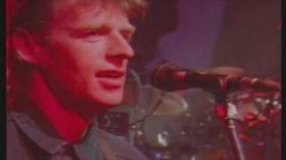 Runrig  City Of Lights Hearts Of Olden Glory Live At The Barrowland Ballroom [upl. by Nerwal]