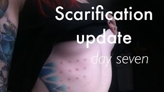 Day Seven Scarification Update [upl. by Belva]