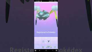 evolving Duwpider into Araquanid in pokémon go [upl. by Ibby]