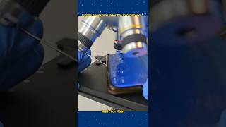 Mobile speaker microscope ൽ zoom ചെയ്ത് നോക്കിയപ്പോൾ🤯 [upl. by Tiana627]