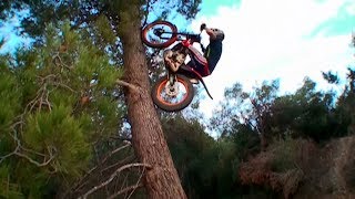 Bike Trial Stunts ⭐ 2024 [upl. by Darrej]