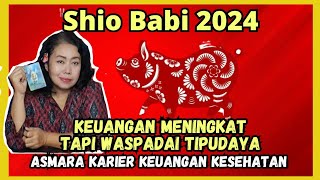 Pig zodiac predictions 2024 Prediksi Shio babi 2024 [upl. by Aihsikal831]