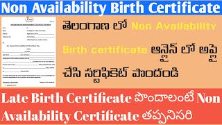 Non Availability Birth Certificate TeluguNon Availability Birth Certificate in Telangana [upl. by Issak779]