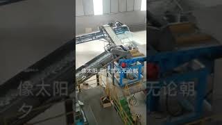 cullet color sortex machine glass recycling 2 [upl. by Rissa844]