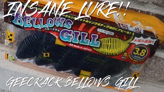 INSANE lure catches fish Bellows Gill [upl. by Baniez]