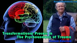 Transformational Process in the Psychoanalysis of Trauma by Donald Kalsched  part 3 [upl. by Morena]