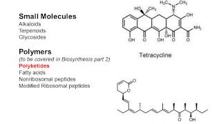 Secondary Metabolites In Plants In Hindi CSIR Secondary Metabolites In Plants In Hindi CSIR [upl. by Uri294]