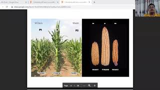 Breeding methods for self pollinated crops part I [upl. by Whorton]