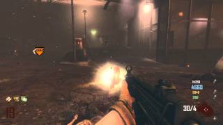 Black Ops 2 Zombies Tranzit wRandoms amp Syndicate Part 8 [upl. by Zapot]