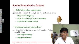 R and K selection । Introduction । Ecology । CSIR NET । GATE [upl. by Bobker]