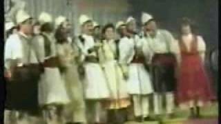 Ansambli Folklorik Çipini fitues i FFGJ1994 bilbilat ne kenge [upl. by Ssepmet80]