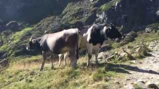 Philosophische Bildwanderung Franz Senn Hütte Neustift in Tirol Stubaital Österreich Glückliche [upl. by Asabi881]