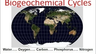 Biogeochemical Cycles honors biology updated [upl. by Lacram]