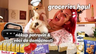 masivní TESCO haul potravin amp věcí do domácnosti  sugardenny [upl. by Ymled]