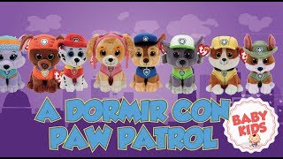 👶🐶CANCION PARA DORMIR BEBE CON PAW PATROL [upl. by Sakiv]