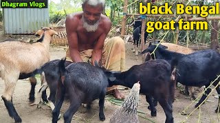 ছাগল পালন করার সহজ পদ্ধতি goatfarm [upl. by Ydahs]