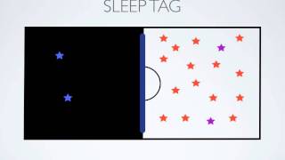 PE Games  Sleep Tag [upl. by Acimahs453]