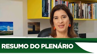 Veja o que foi aprovado no Plenário desta semana  030720 [upl. by Steffin759]