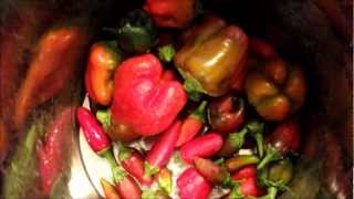 Making Homemade quottabascoquot Hot Sauce [upl. by Eiwoh751]