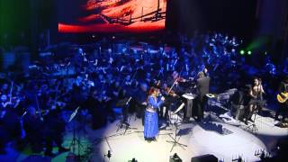 The Dark Knight  Hans Zimmer J Newton Howard  LIVE [upl. by Llamaj688]