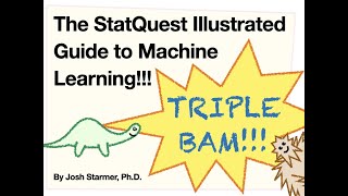 The StatQuest Illustrated Guide To Machine Learning Theme Song [upl. by Lokkin743]