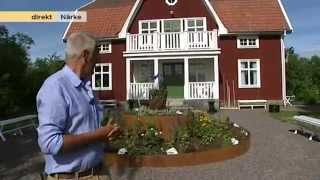 Ernst Kirchsteiger visar runt inuti hans nya sommarprojekt  Nyhetsmorgon TV4 [upl. by Lamar]