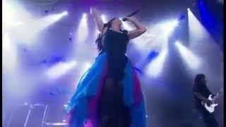 Evanescence  Going Under live [upl. by Christel]