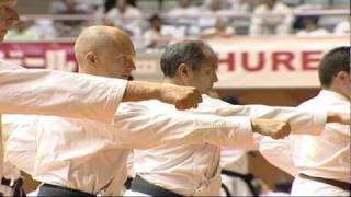 Okinawa Traditional Karatedo Kobudo World Tournament 2009 Part 2 23 [upl. by Indys]