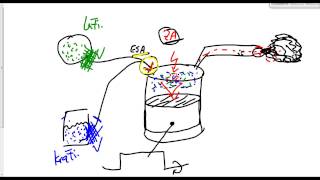 Theoriefragen zum Motor Teil 1 Fahrschule Führerschein Klasse B 505 [upl. by Moia]