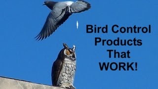 Bird Control Products  Nixalitecom [upl. by Eiramlatsyrk]