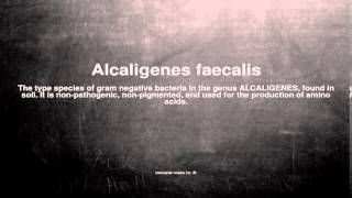 Medical vocabulary What does Alcaligenes faecalis mean [upl. by Ardin]