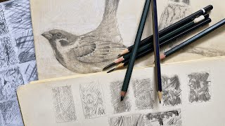 Mastering Pencil Techniques A Guide to Texture Shading and Depth [upl. by Kuster]