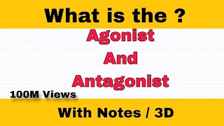 Difference Between Agonist And Antagonist  3D Animation  viral education [upl. by Anuayek]