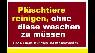 Plüschtiere reinigen ohne zu waschen Stofftiere Kuscheltiere sauber bekommen ohne Waschmaschine [upl. by Junna]