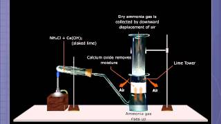 Preparation of Ammonia [upl. by Nahc]