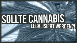 Coffeeshop in Kreuzberg Sollte Cannabis legalisiert werden  Teilzeitnerd [upl. by Deer]