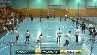 2023 NSWDL Bronze Mixed Div 1 Arcadia Assassins vs Alpine Avalanche [upl. by Auqenehs486]