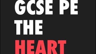 Gcse Pe 5 a day revision vol 15 The heart [upl. by Neirda]