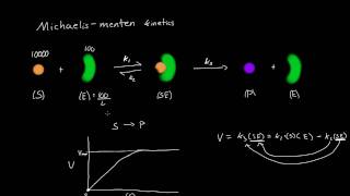 MichaelisMenten Derivation All Steps [upl. by Llaccm]