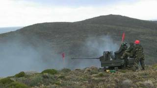 Rheinmetall Mk20 Rh202 Twin AA firing [upl. by Ortiz]