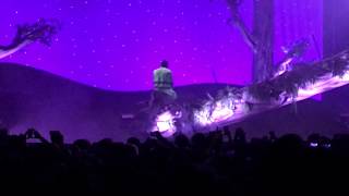 Tyler The Creator  Garden ShedWho Dat BoyNovemberGlitter LIVE in Detroit [upl. by Starobin]